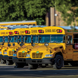 Parked School Buses